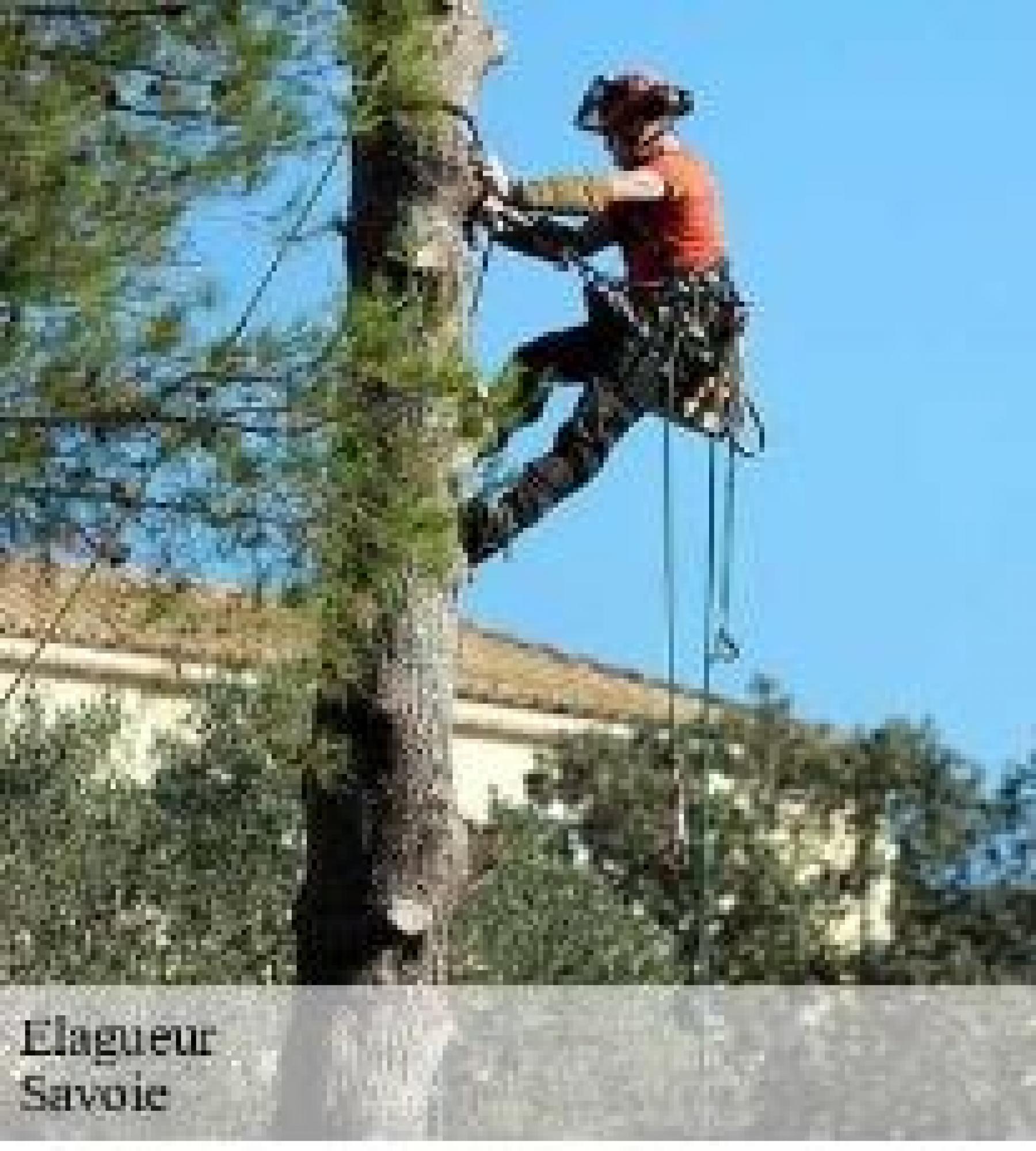 SOS Elagage est là pour l’élagage dans le 73 Savoie