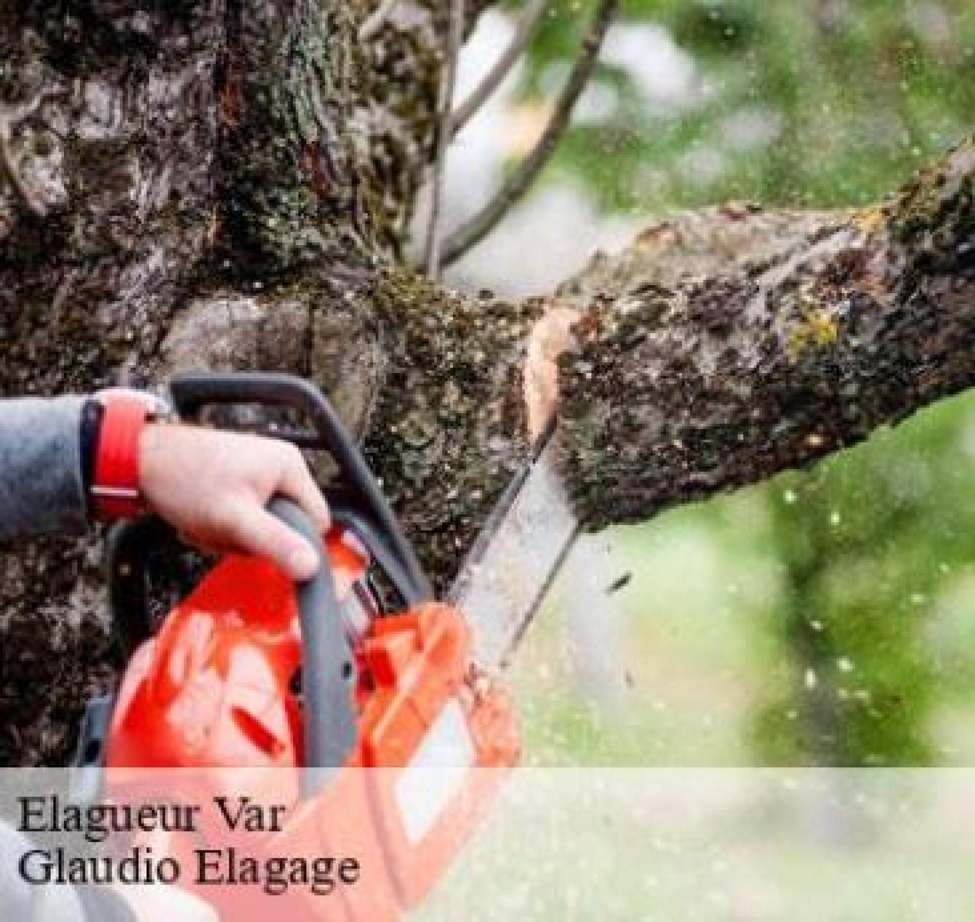 Glaudio Elagage assure l’élagage dans le 83 Var